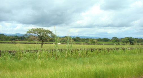 Dolega, Panama