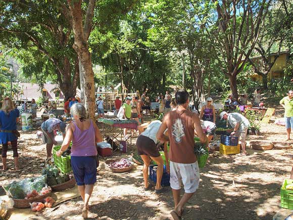 Why Costa Rica’s Farmers Market is More Than Just Produce