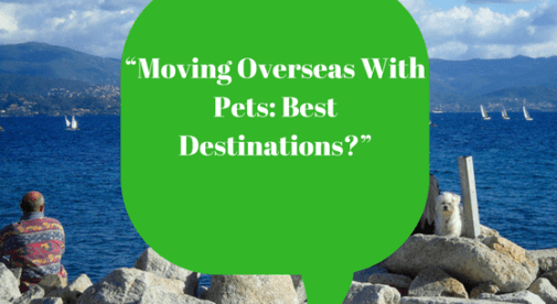 Moving overseas with pets best destinations