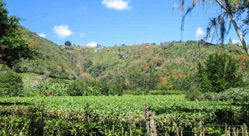 Orosi Valley, Cosa Rica