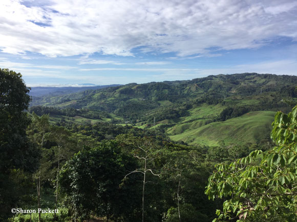 We Pulled the Ripcord on Daily Life and Moved to Costa Rica