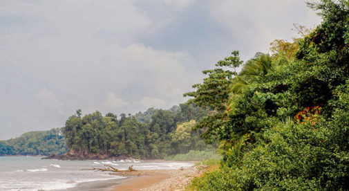 Playa Ballena, Southern Zone, Costa Rica.