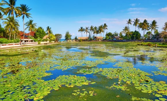 Candidasa, Bali