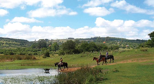 Town and Country Living in Uruguay’s Interior