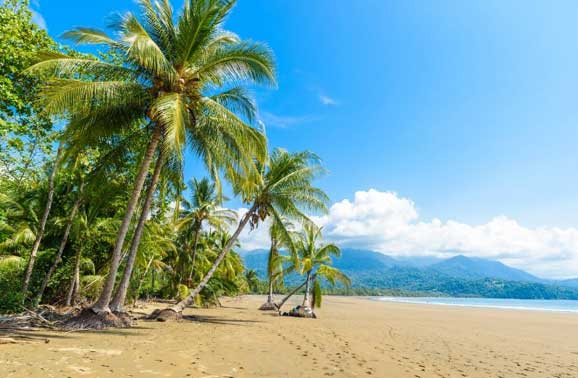 Ditching the Rat Race for a No Stress Life in Platanillo, Costa Rica