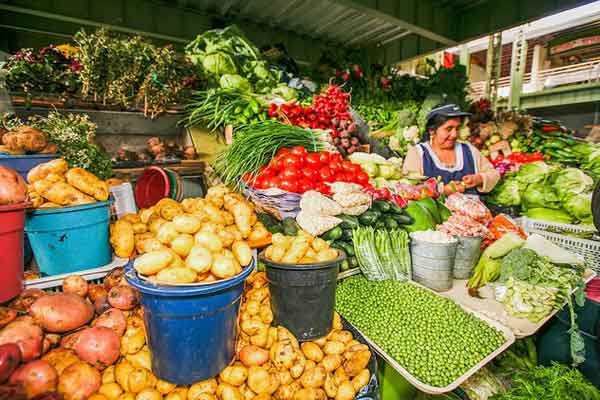 Shopping at El Centro mercados