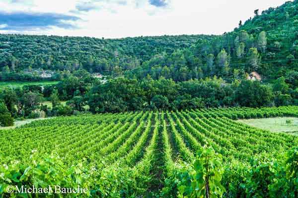 Tranquil France