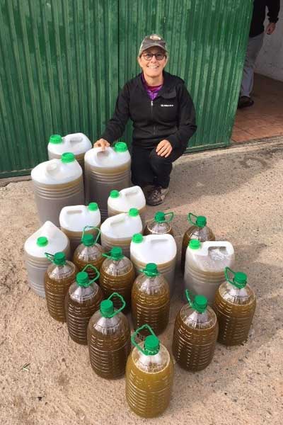 Susan and her husband spent three weeks harvesting olives in Spain.