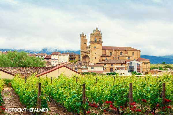 Wine in Spain