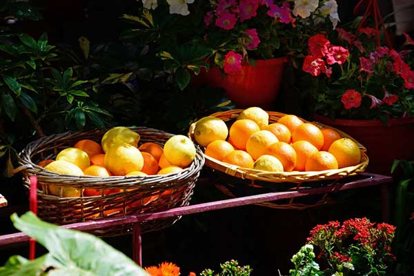 Citrus Festival Malta