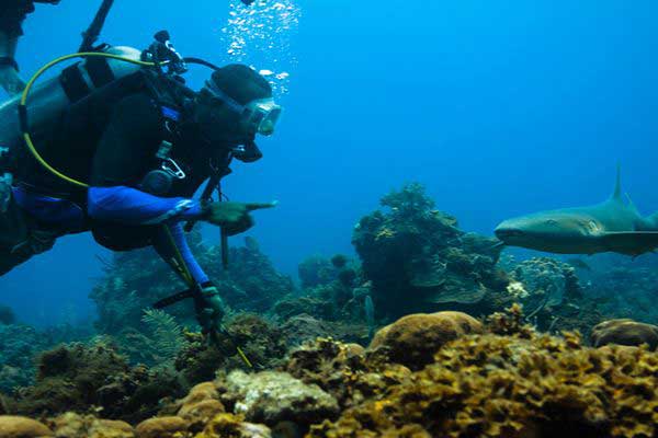 Things to do on the Corn Island, Nicaragua