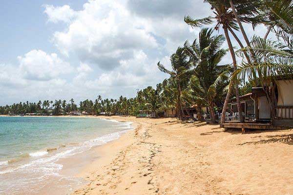 Las Terrenas Dominican Republic 