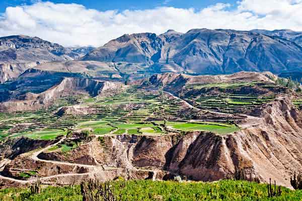 things to do in colca canyon