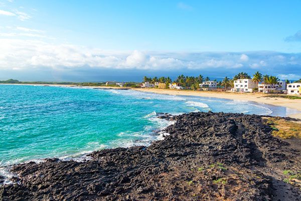 What is the Best Time of Year to go to the Galápagos Islands? 