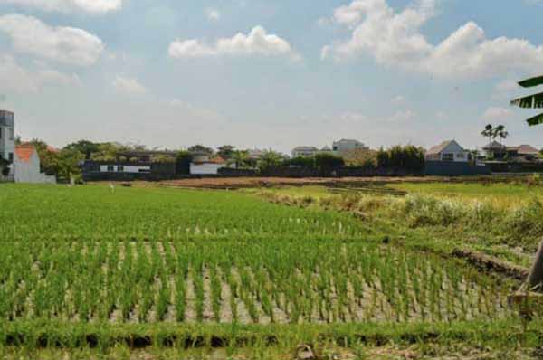 canggu bali