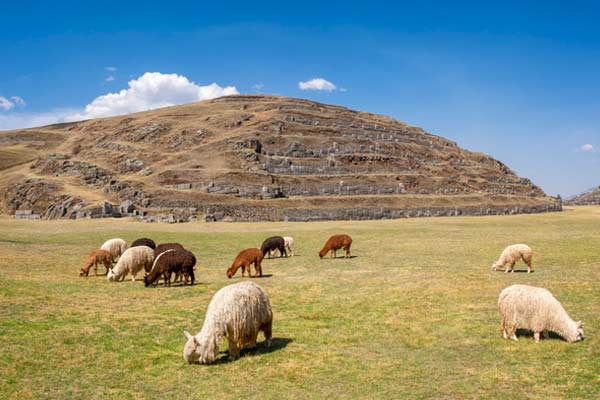 Sacsayhuamán