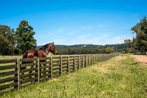 Estancia-Uruguay