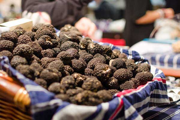 Visit a truffle festival