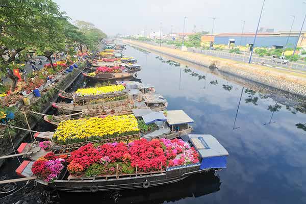 tet-flowers-in-vietnam