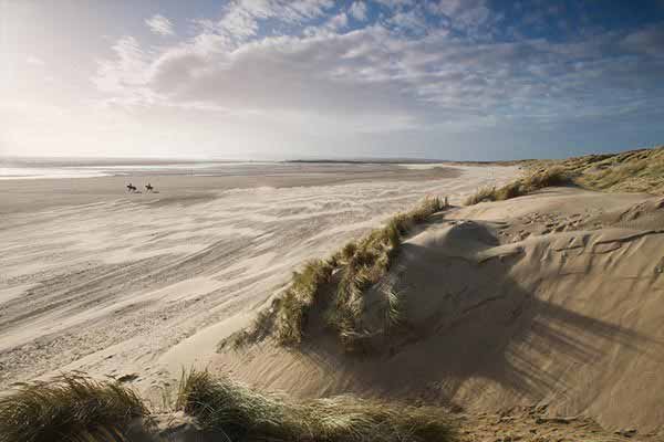 Explore the Dunes in Camber Sands