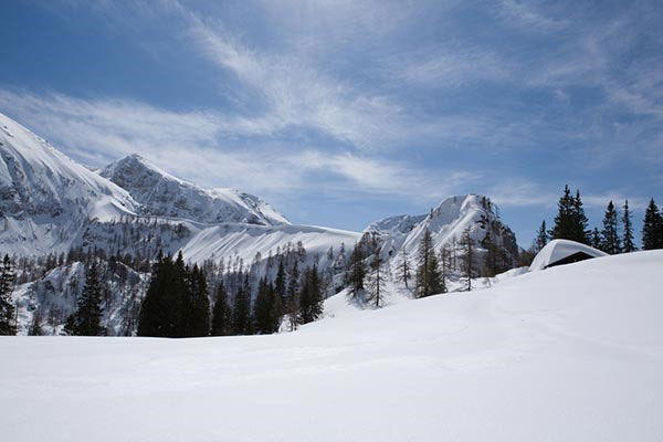 Hiking, Skiing, Nature in Munich