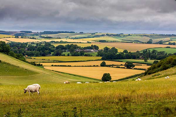 Wiltshire