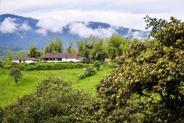 Mindo Ecuador