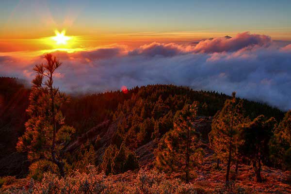 Visit the Mirador del Pico de Las Nieves