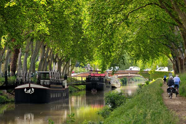 Cruise the Canal du Midi