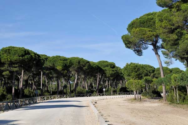 Doñana Spanish National Park