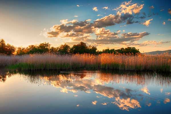 Tablas de Daimiel National Park