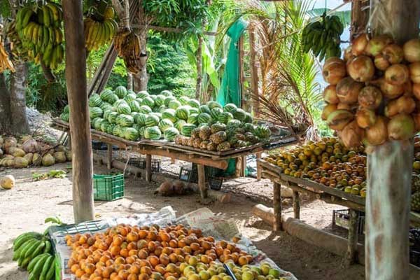 Costa Rica's outdoor markets