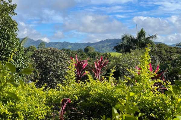 In Costa Rica’s Central Valley, you can enjoy beautiful views and an ideal climate