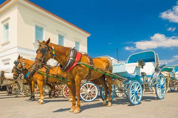 Take a Horse-Drawn Carriage