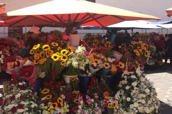 Plaza de la Flores Cuenca