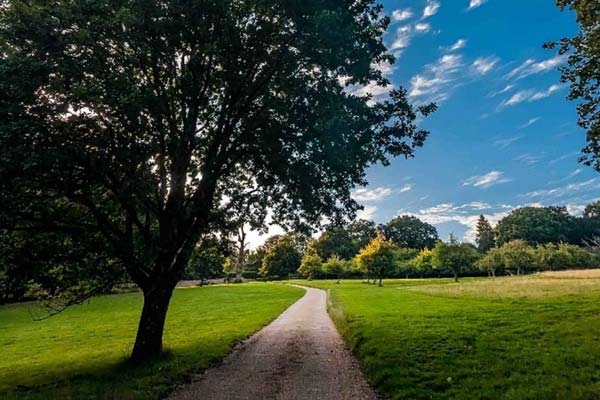 private country road in england